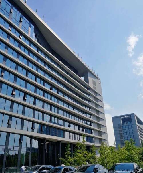 上海貌信金融信息服务 深耕金融信息服务，赋能实体经济高质量发展